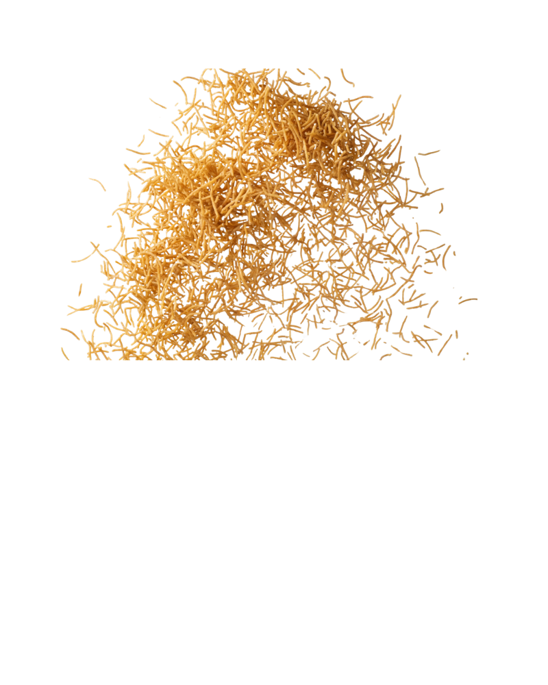 Bikaneri Bhujia - hover