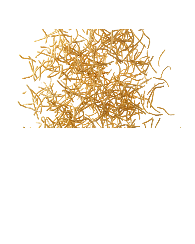 Bhujia No. 3 - hover